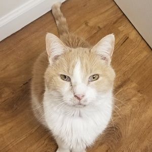 Meet your Posher, Barbara